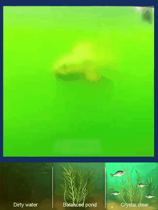 YEGBONG Water Clarifying Powder💦