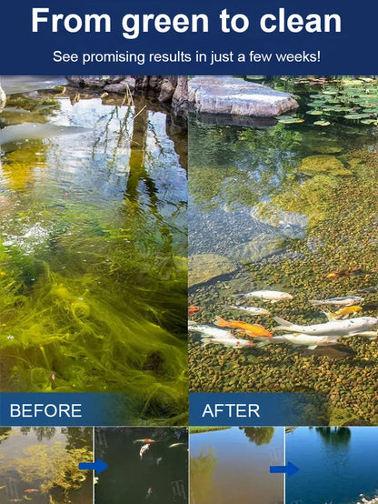 YEGBONG Water Clarifying Powder💦