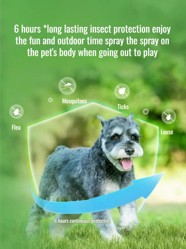 🐕Pet Dog Flea Cleaner Long Lasting Home Protection Spray In Vitro Cleaner Hour Sprayer✨